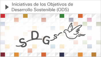 Iniciativas de los Objetivos de Desarrollo Sostenible (ODS)